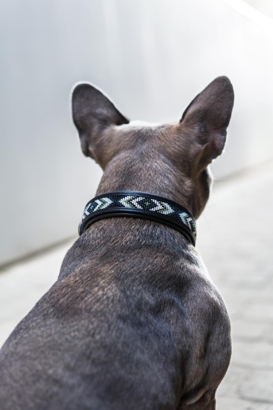 Catago Viben Hundhalsband I Läder Med Pärlmönster  Svart/Grön/Vit - 2
