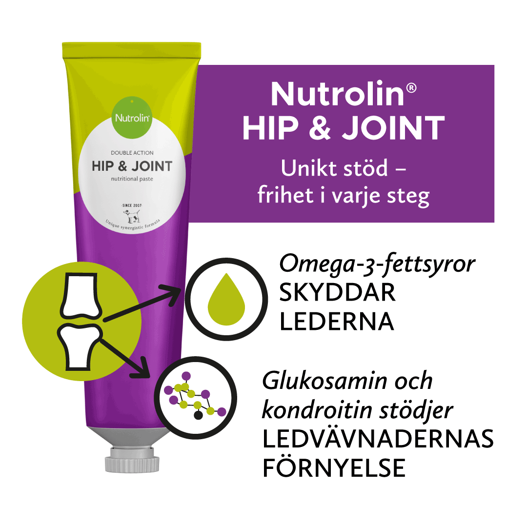 Nutrolin® HIP & JOINT-pasta - 600g - 2