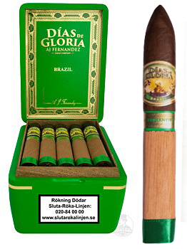 AJ Fernandez Dias De Gloria Brazil Gordo