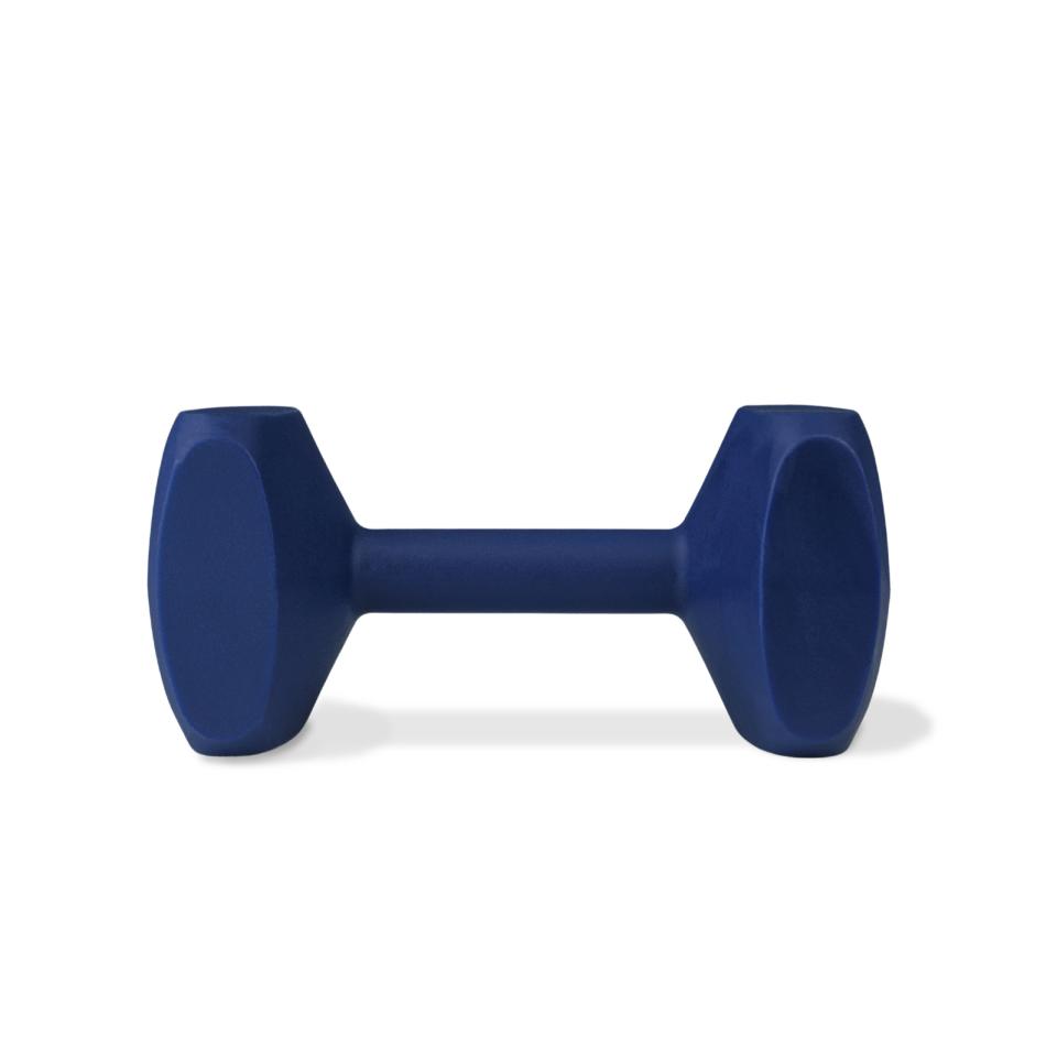 Coachi Training Dumbell Apporteringsleksak Navy Small 86 Gram 