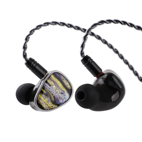 Kiwi Ears Etude - 2