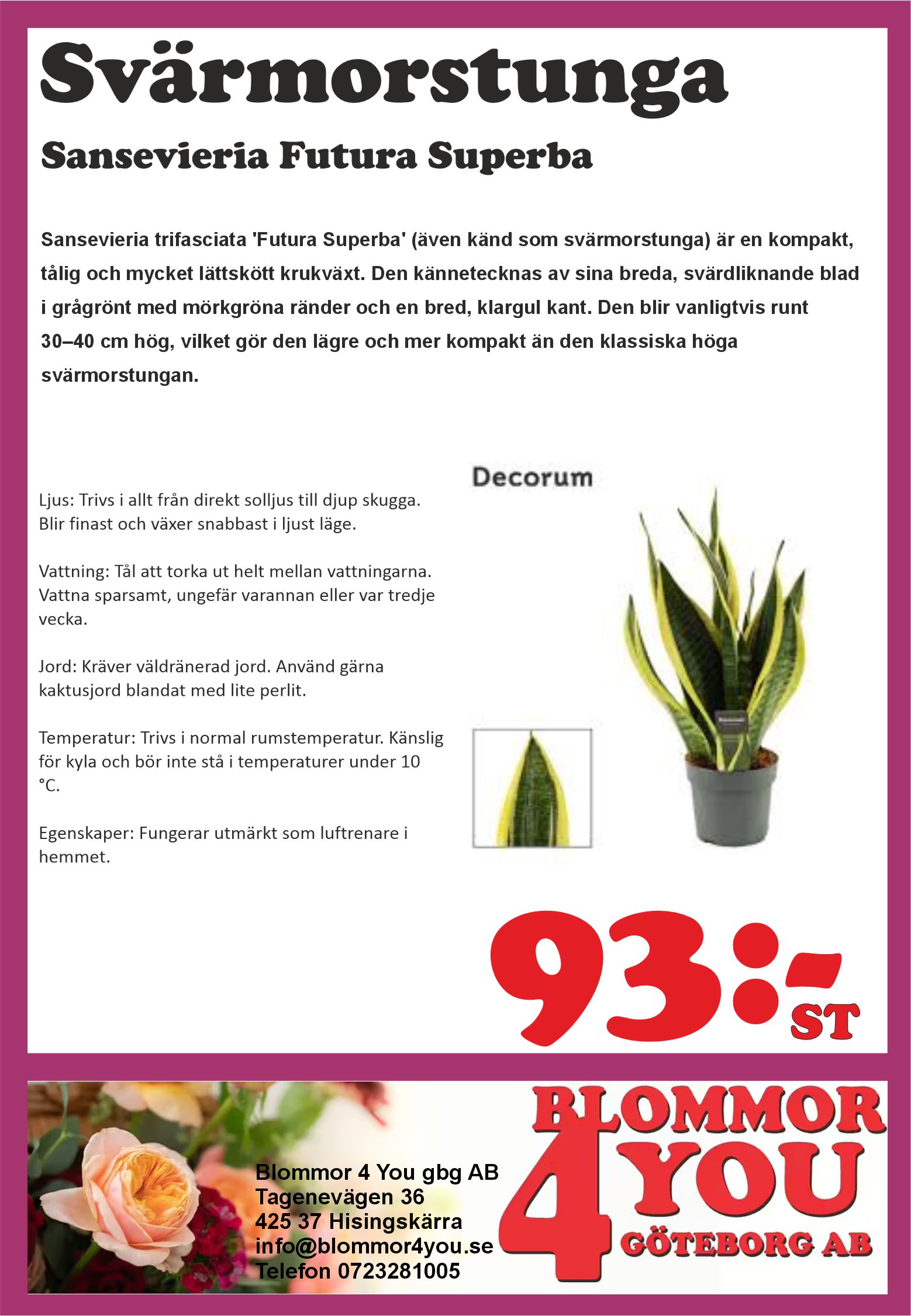 Sansevieria Futura Superba 12 cm kruka