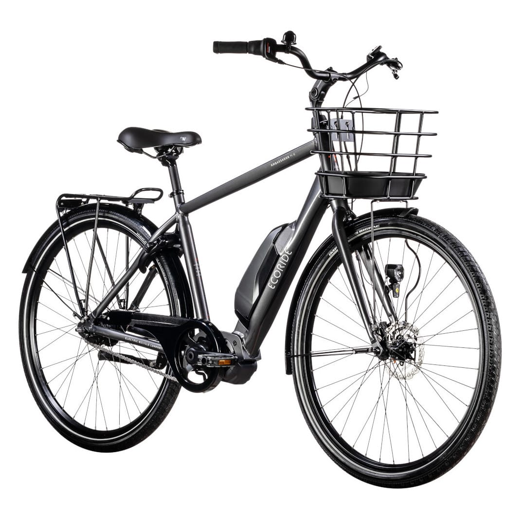 Ecoride Ambassador HS  M-5 E-6100 Mittmotor - 2
