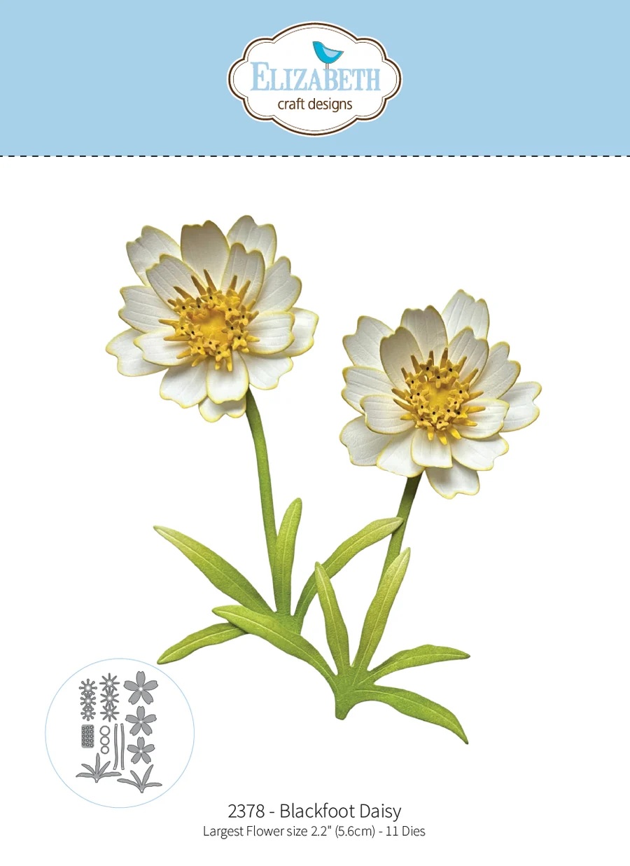 Elizabeth - Dies - Blackfoot Daisy