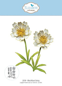 Elizabeth - Dies - Blackfoot Daisy