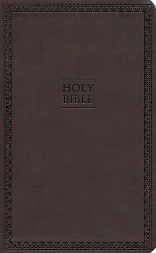 Engelsk Bibel New International Version Thinline