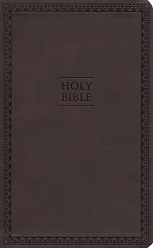 Engelsk Bibel New International Version Thinline