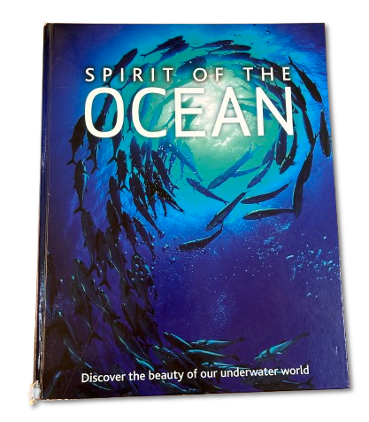 Spirit of the ocean 44,5x35,5cm