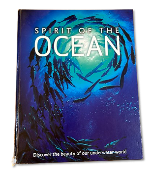Spirit of the ocean 44,5x35,5cm