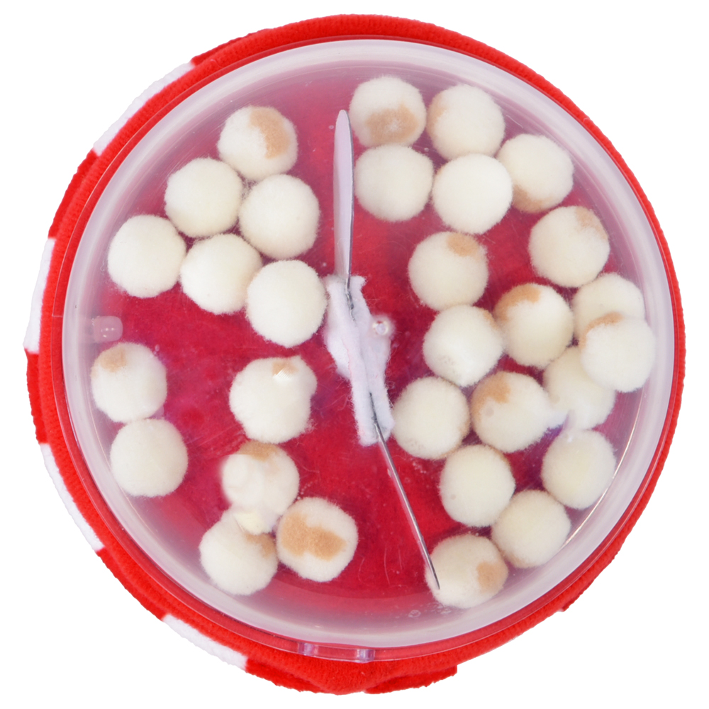 Härmdjur, Cutie Food, Happy food, Popcorn - 10
