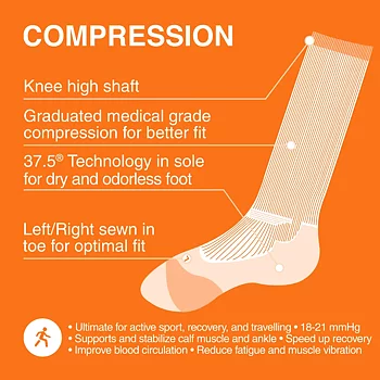 Gococo Compression Socks - Black