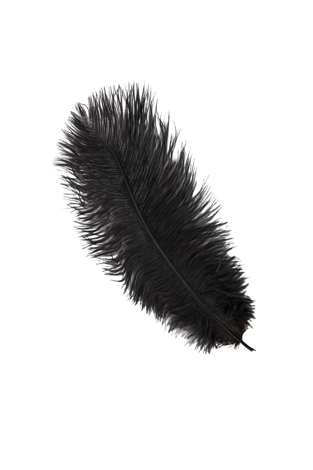 Strutsfjäder Fjäder - Brun 40-45 cm 1 styck - 5