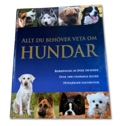 Allt du behöver veta om hundar