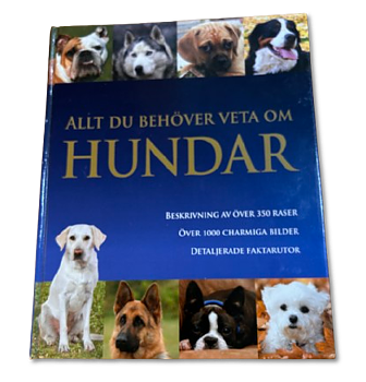 Allt du behöver veta om hundar