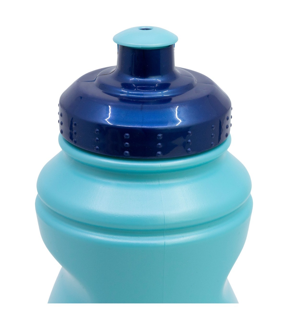 Bluey Vattenflaska 380 ml - 2