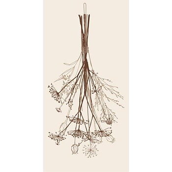 Servetter Torkade Blommor 16 -pack