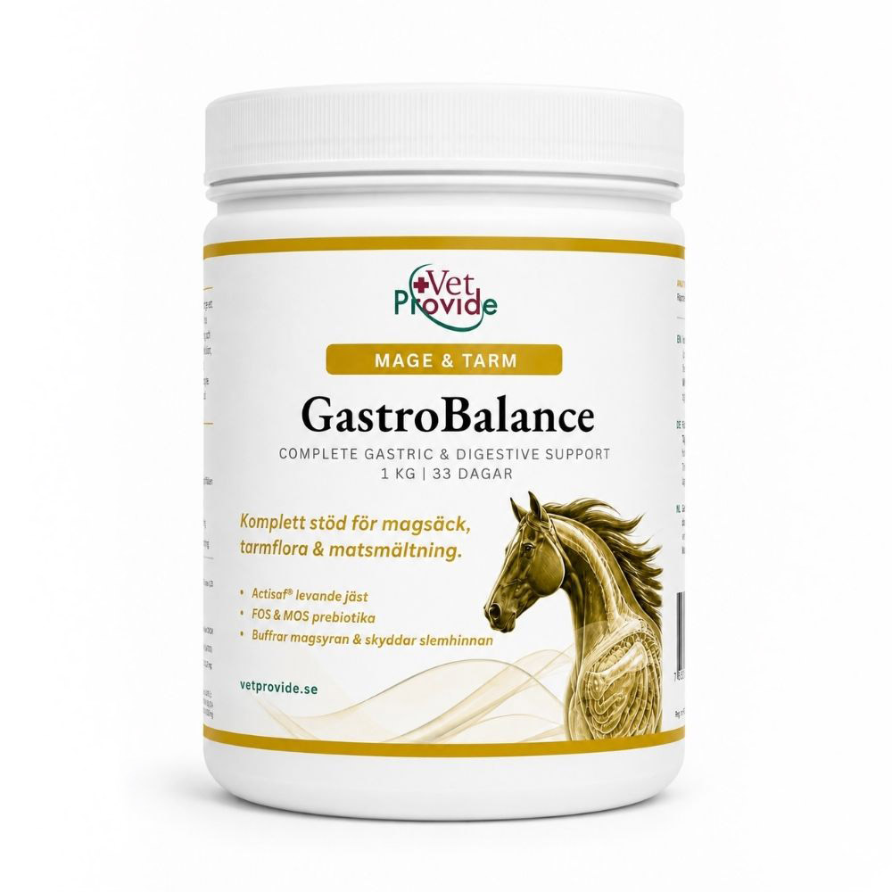 Vet Provide GastroBalance 1 kg hink för hästens maghälsa.