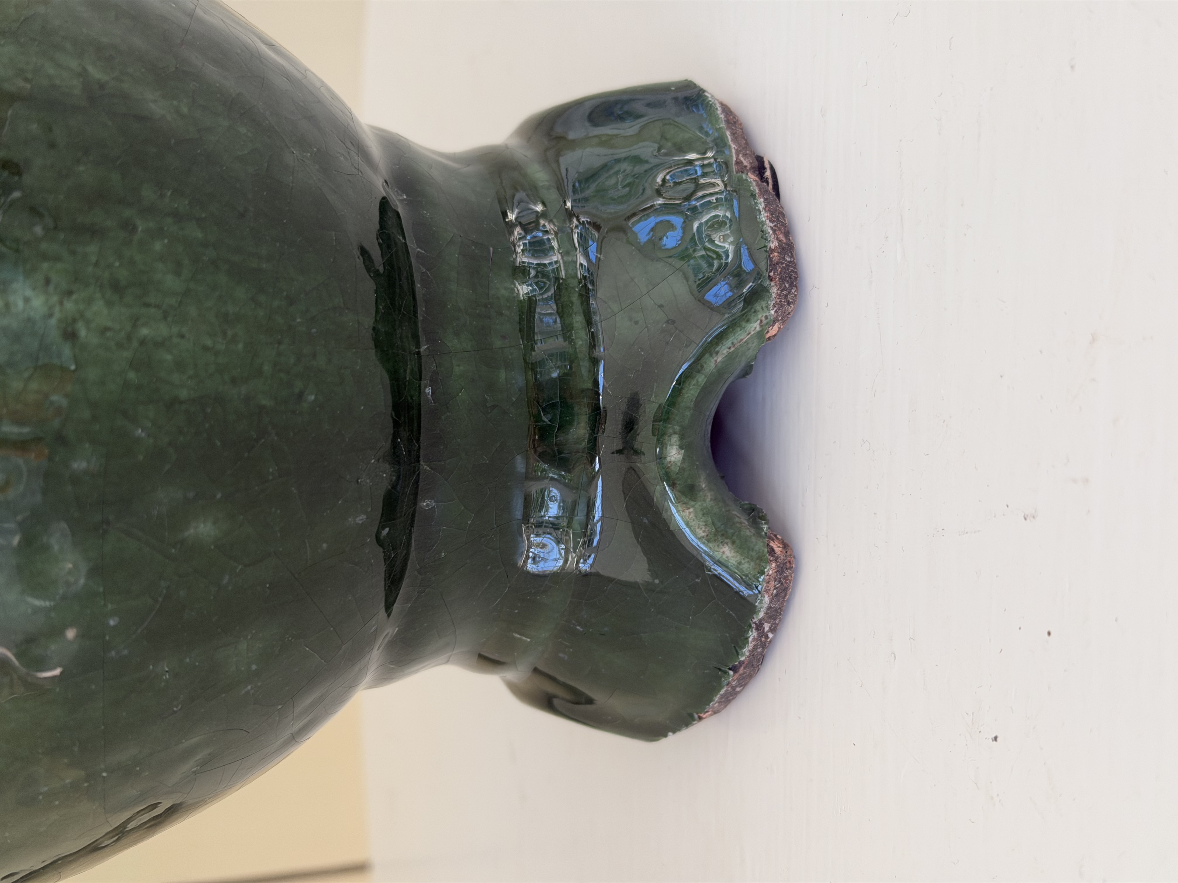 Pot jade kruka - 3