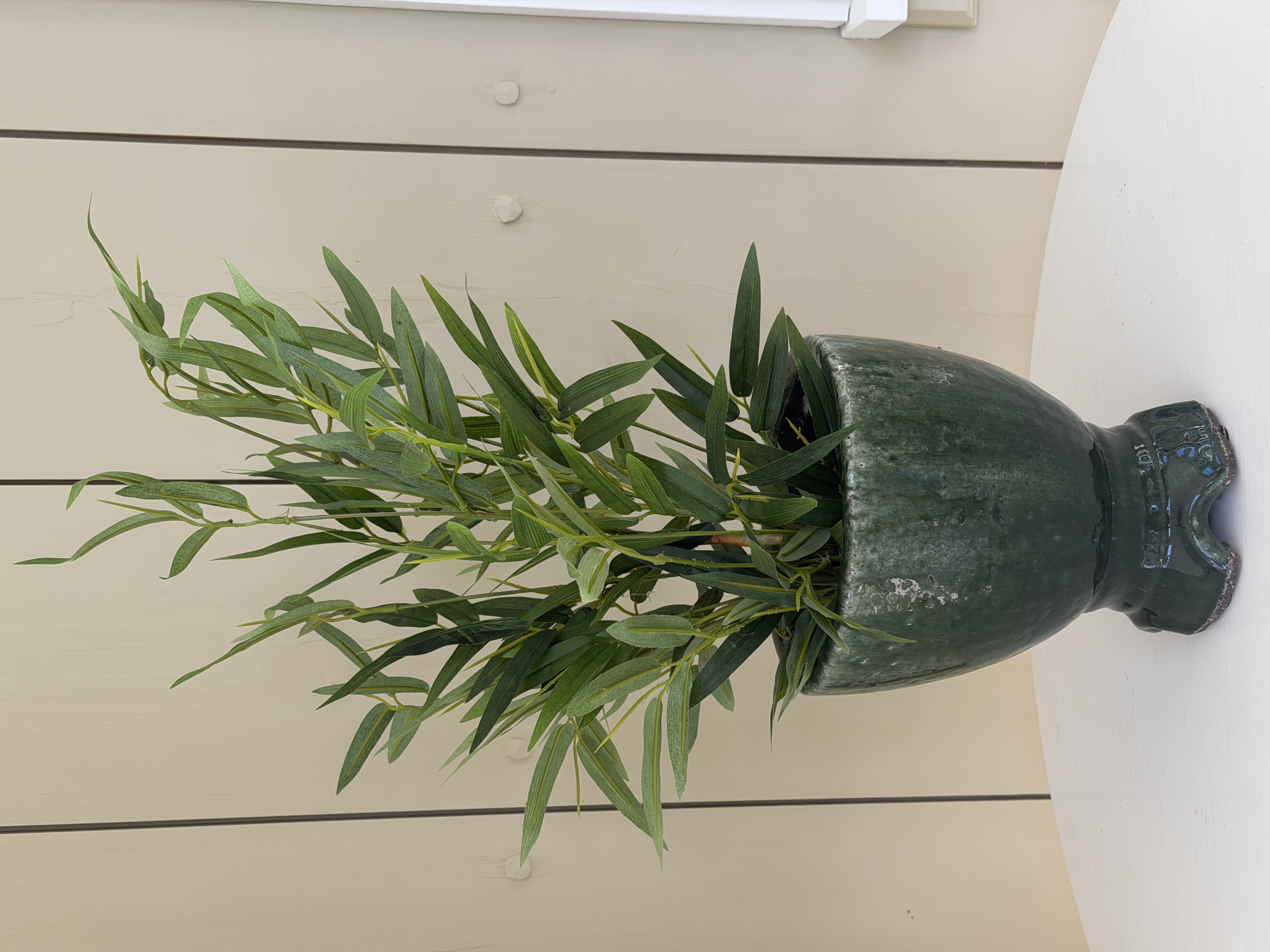 Pot jade kruka
