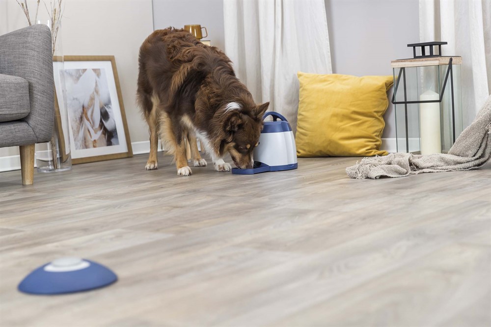 Hundleksak Trixie Memory Trainer 3.0 Nivå 3 Ø 20x24cm  - 8