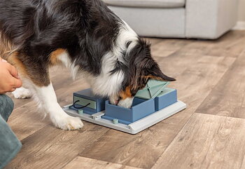 Hundleksak Trixie Dog Activity Poker Box 1 Nivå 2 31x31cm Flerfärgad