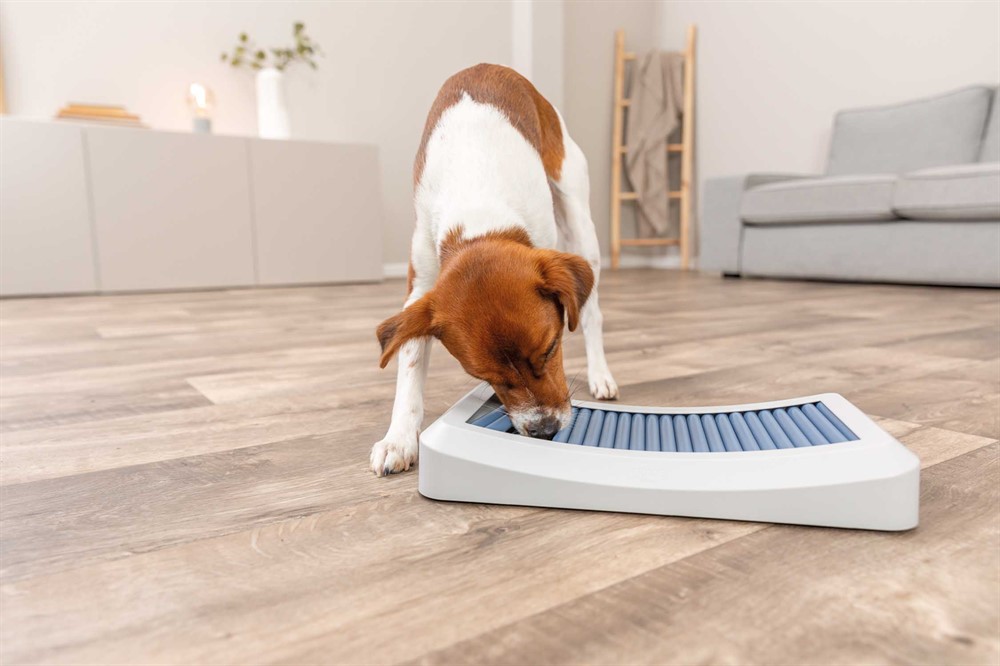 Hundleksak Trixie Dog Activity Rod Board Nivå 1 35x19,5cm Flerfärgad - 16