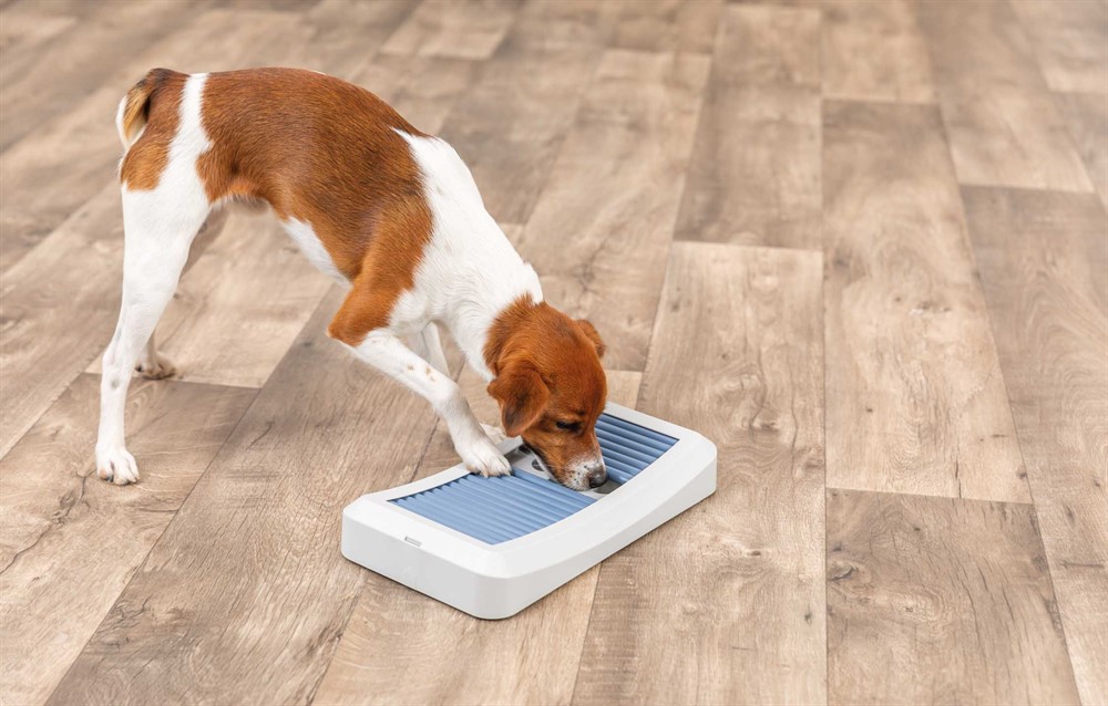 Hundleksak Trixie Dog Activity Rod Board Nivå 1 35x19,5cm Flerfärgad - 15