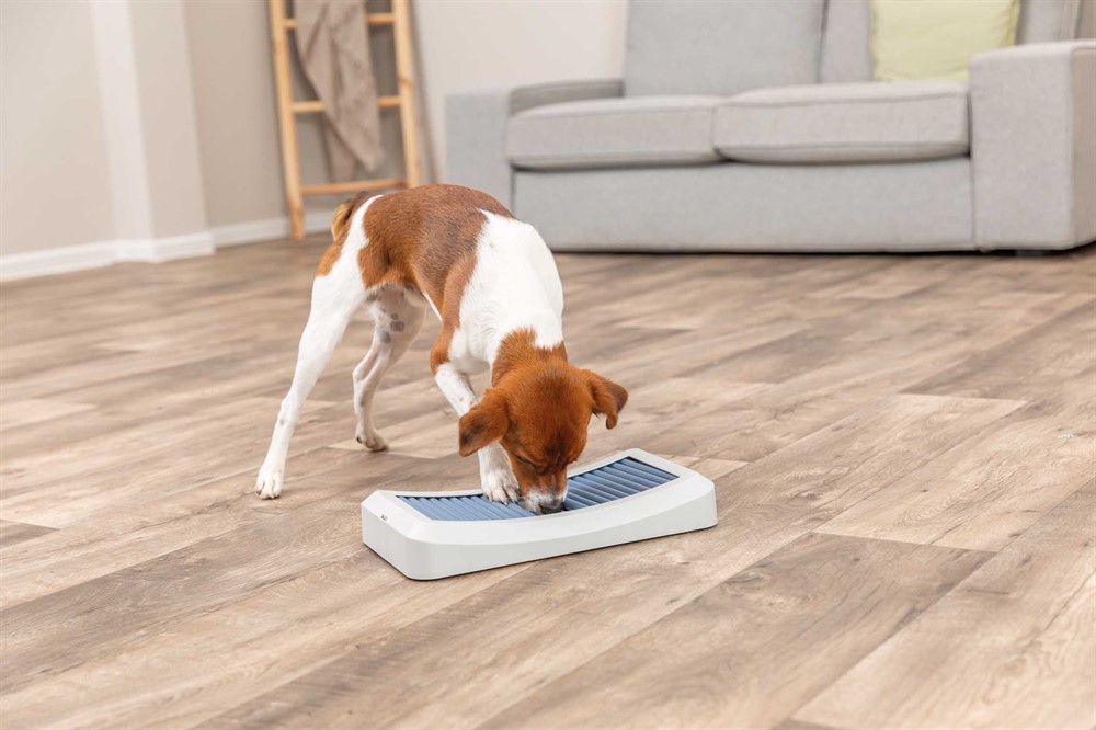Hundleksak Trixie Dog Activity Rod Board Nivå 1 35x19,5cm Flerfärgad - 14