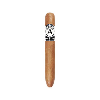 Aladino Connecticut Queens Perfecto