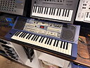 Roland EG-101, beg