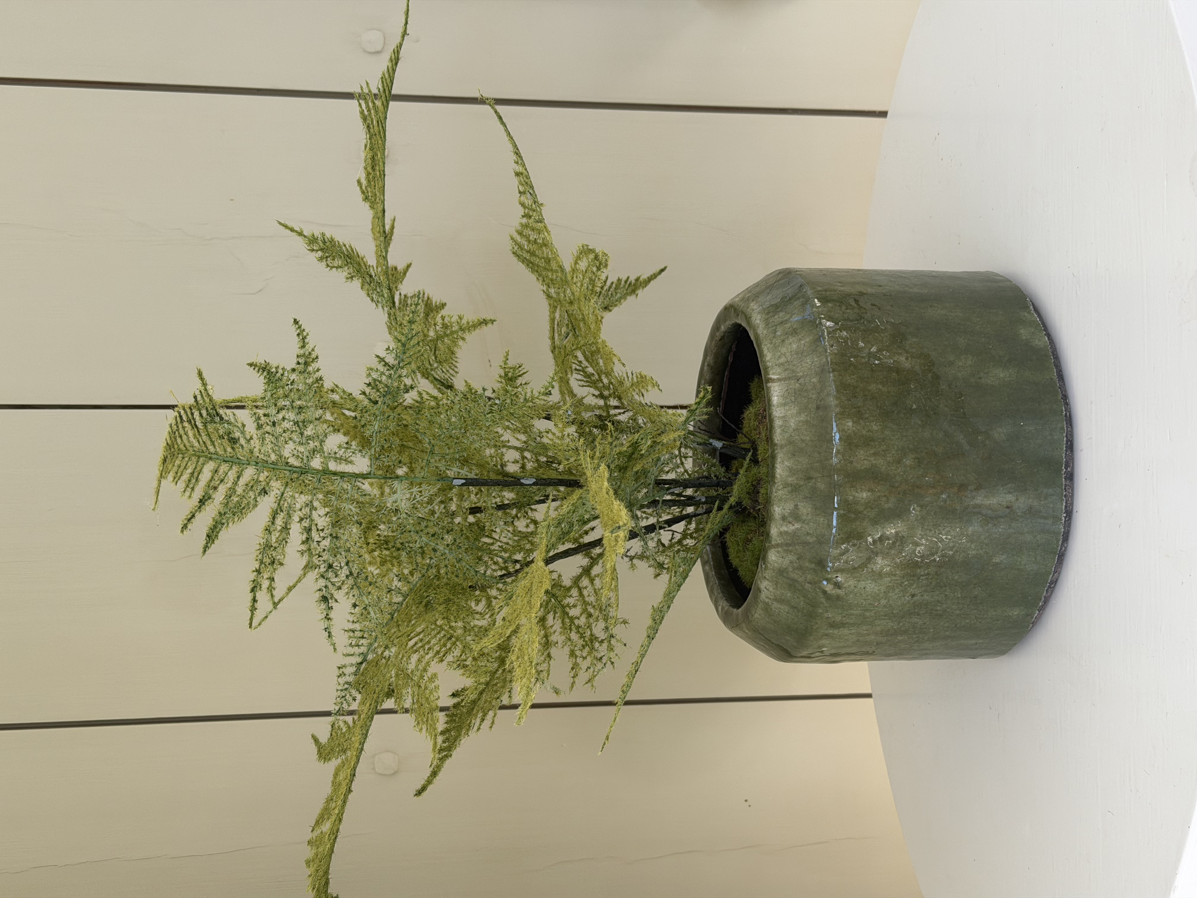 Kruka Rosemary