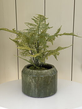Kruka Rosemary