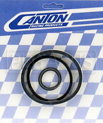Rebuild kit Accusump