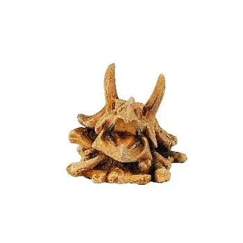 Classic Triceratops Dinosaur Skull 107x120x95mm