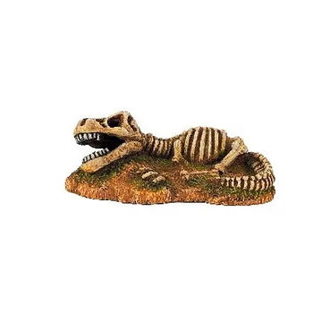 Classic Dinosaur Fossil Skeleton 170x91x60mm