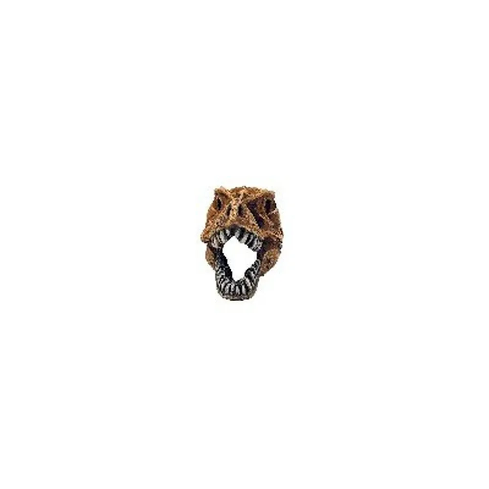 Classic T-rex Dinosaur Skull 83x50x52mm