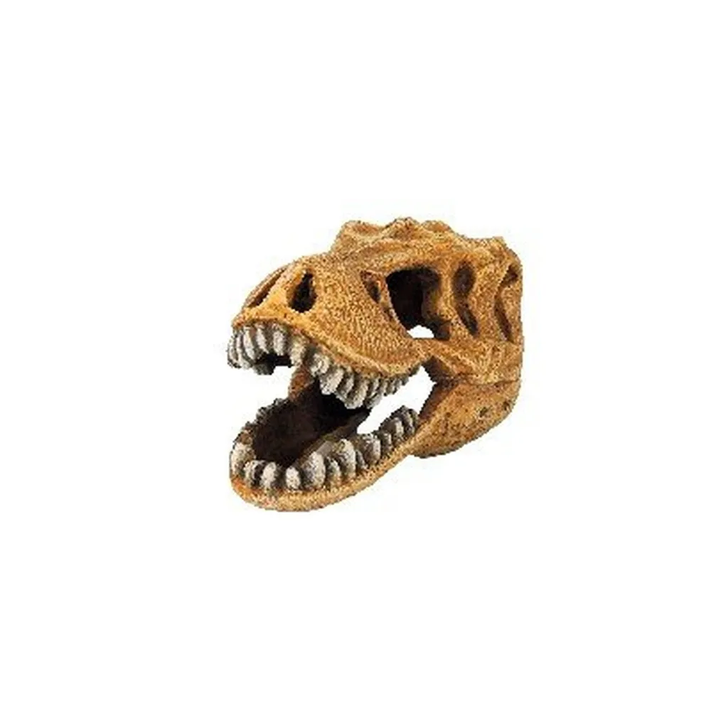 Classic T-rex Dinosaur Skull 127x75x77mm