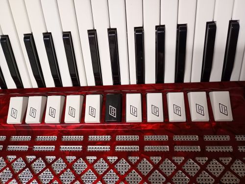 Serenellini  / 96 (Used) - 5