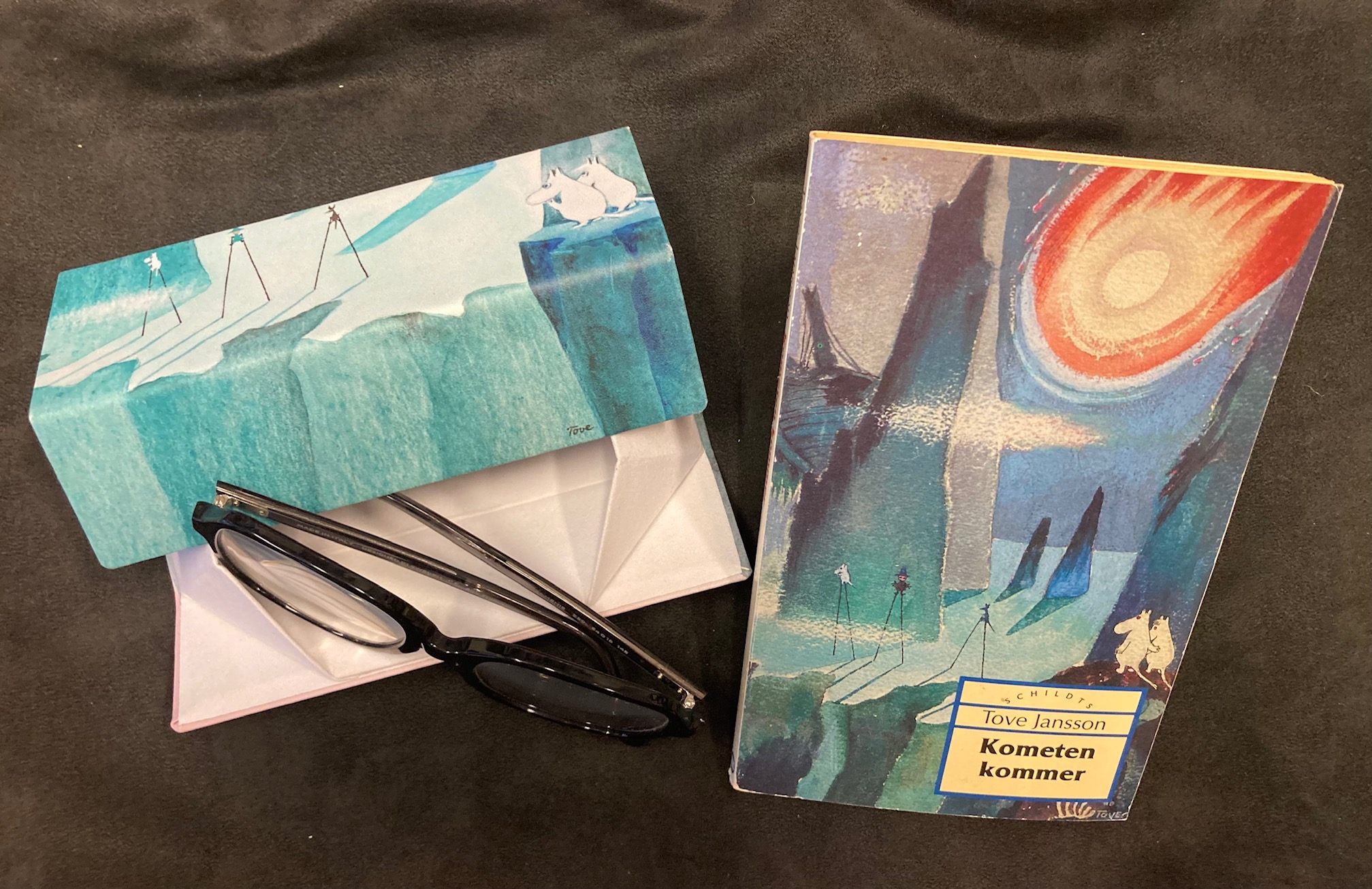 Mumin glasögonfodral - Kometen kommer - 3