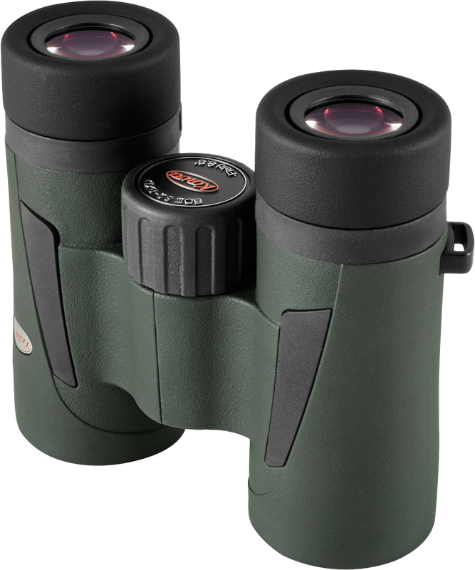Kowa BD III 32-8 XD - 5