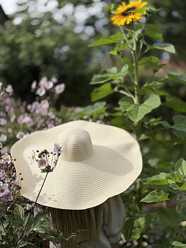 Hatt Ljus Natur