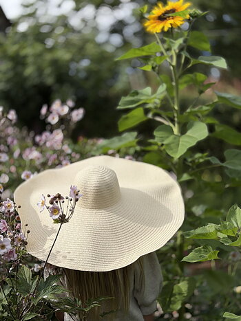 Hatt Ljus Natur