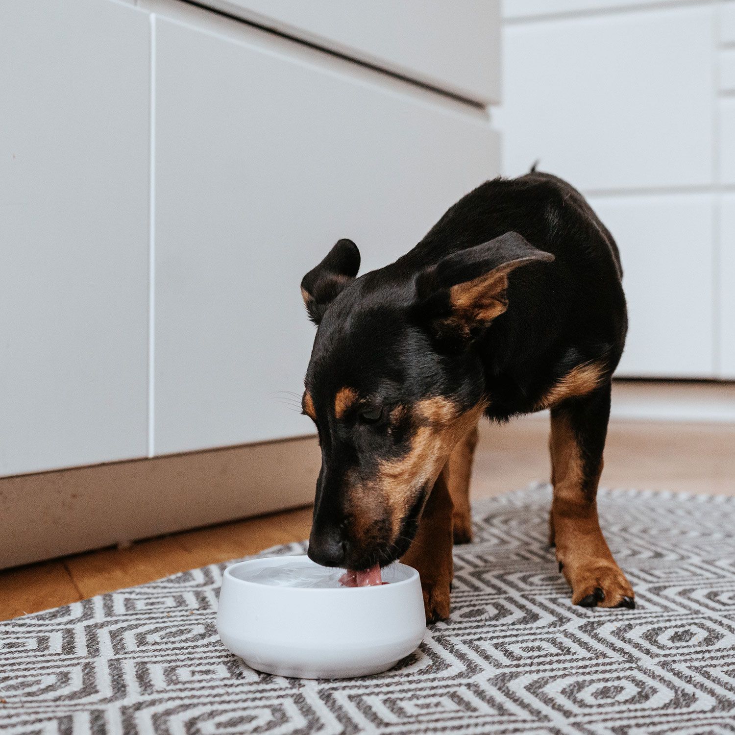 HUNTER Hundmatskål Mora Vit - flera storlekar  - 2