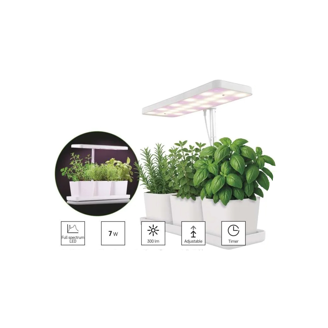 Odlingsset med växtlampa Grow