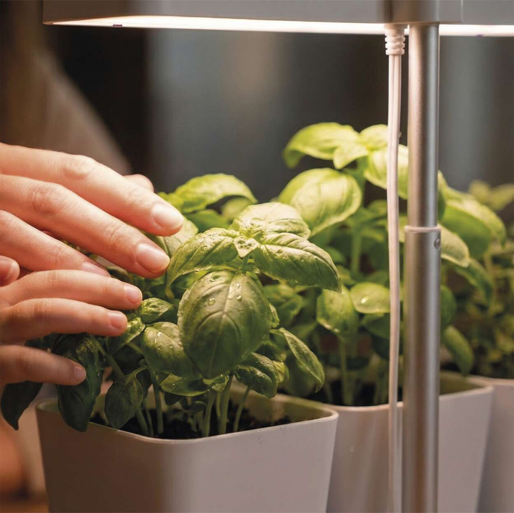 Odlingsset med växtlampa Grow - 2