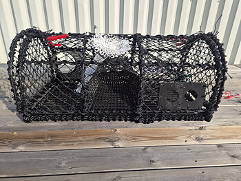 Hummertina Yrkesfiske, Plastingångar