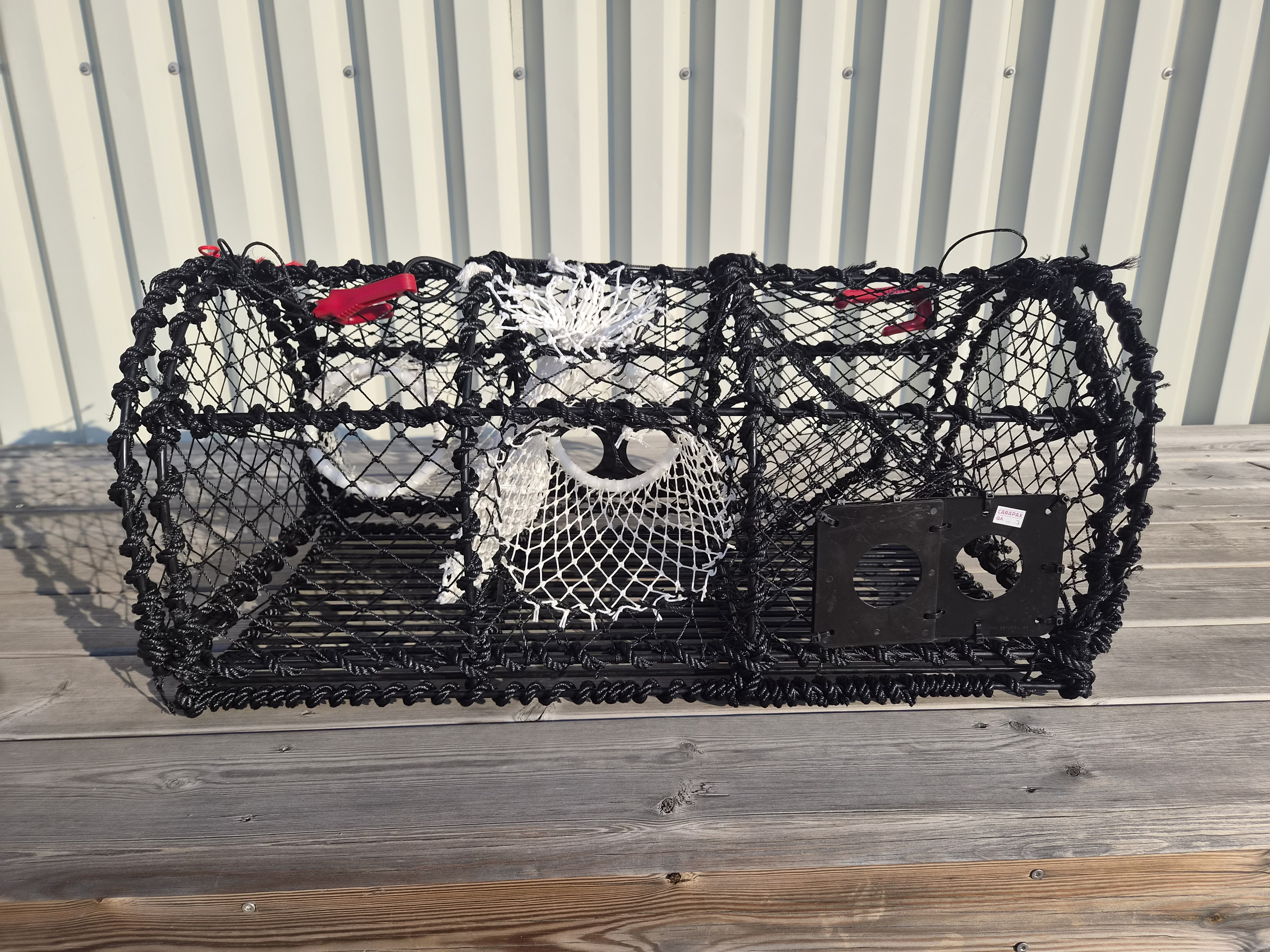 Hummertina, 8kg