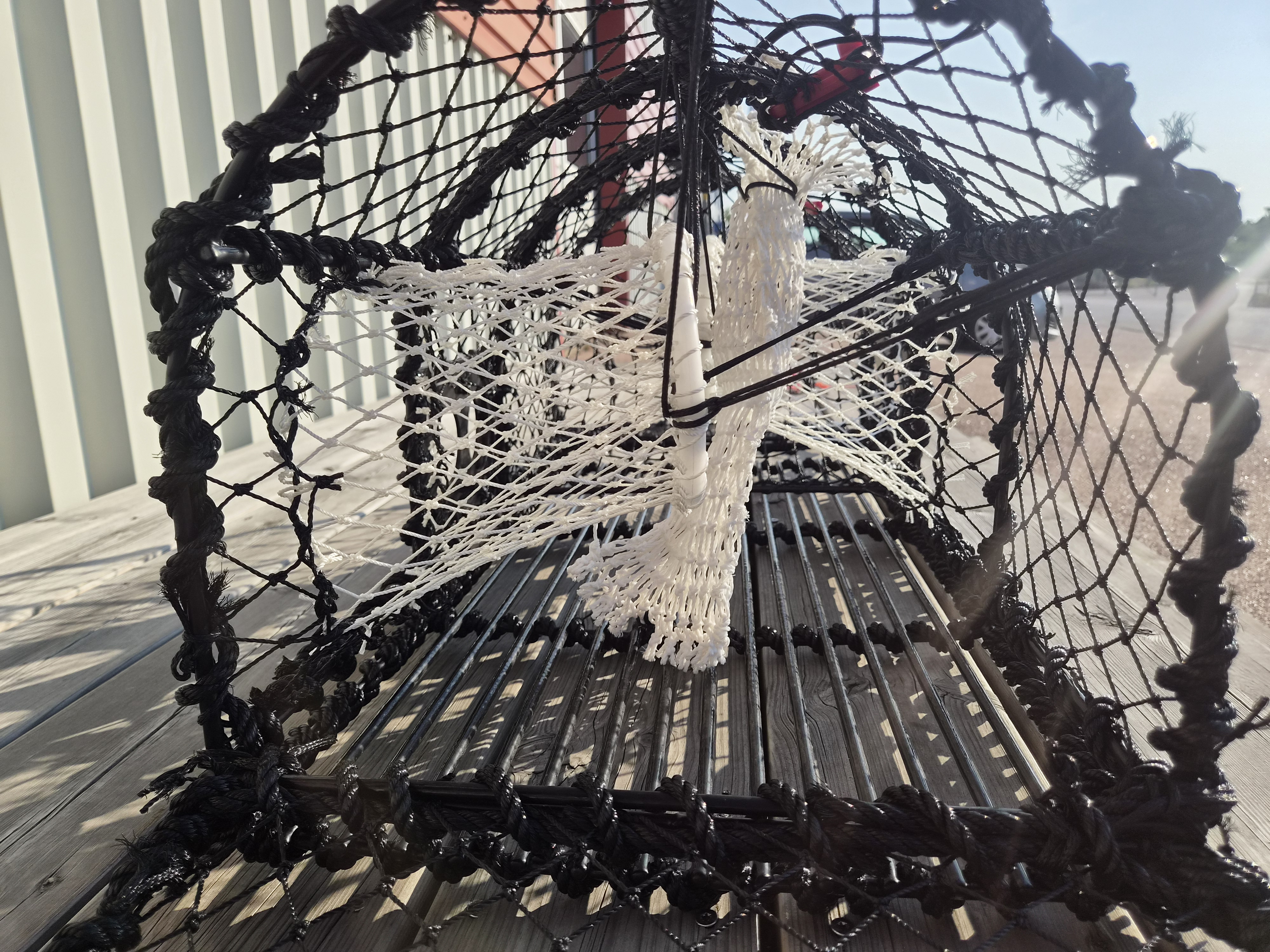 Hummertina, 8kg - 3