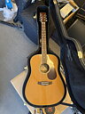 Tanglewood TW28-CSR inkl hardcase och tillbehör
