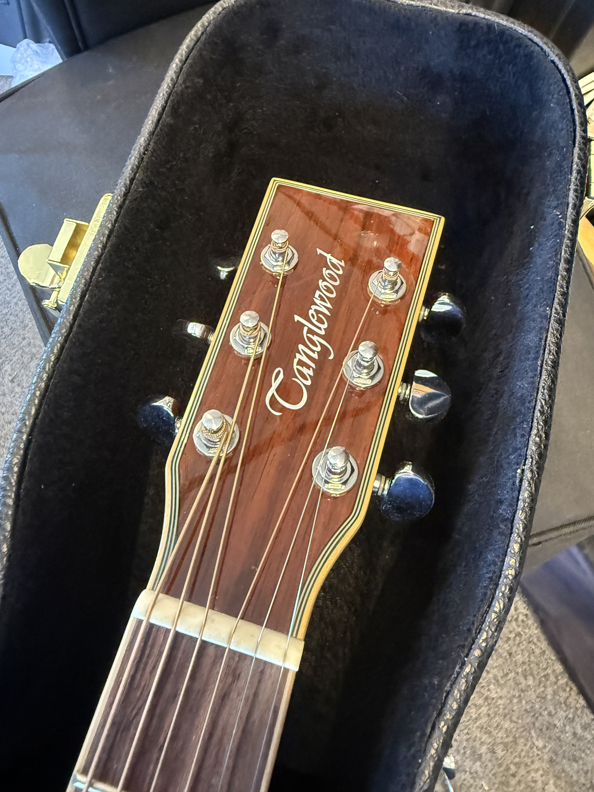 Tanglewood TW28-CSR inkl hardcase och tillbehör - 5